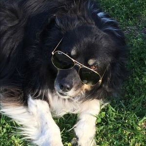 Meet your Posher, Ami